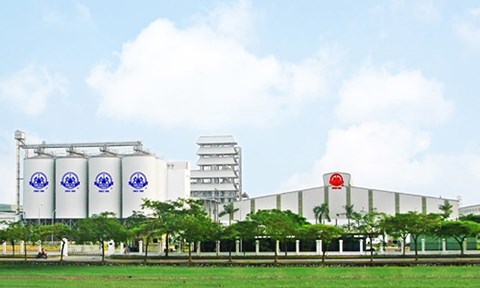 Đại gia rớt nước mắt nhìn tiền chất đống, "đội nón ra đi"