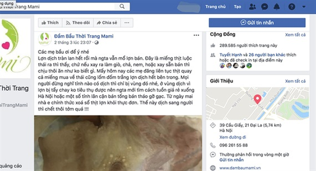 Bị phạt 20 triệu đồng do tung tin sai trên Facebook về dịch tả lợn châu Phi