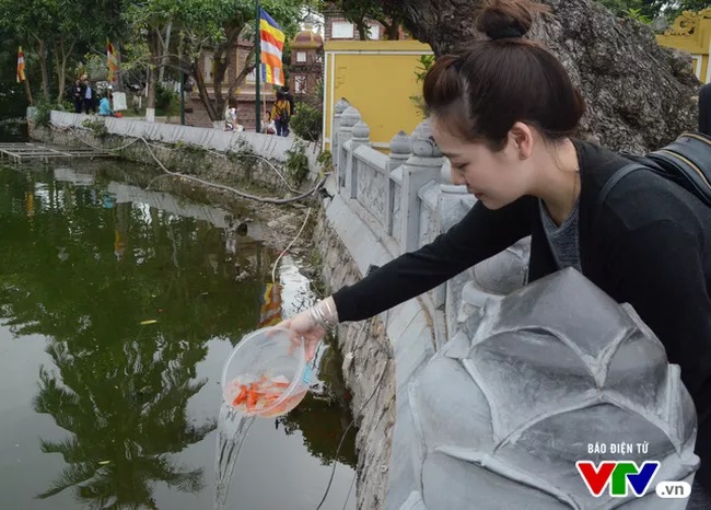 TIN TỨC MỚI - Lý giải nghi thức phóng sinh vào Rằm tháng 7 Âm lịch