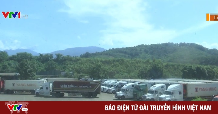 TIN TỨC MỚI - Hàng nghìn tấn thanh long bị ùn ứ tại cửa khẩu