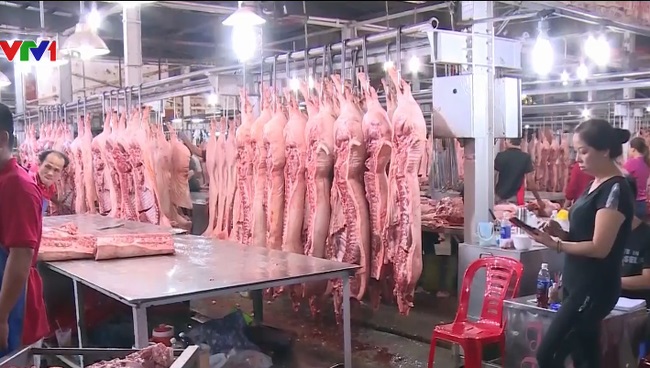 TIN TỨC MỚI - Ổn định giá thịt lợn từ nay đến Tết Nguyên đán Canh Tý 2020