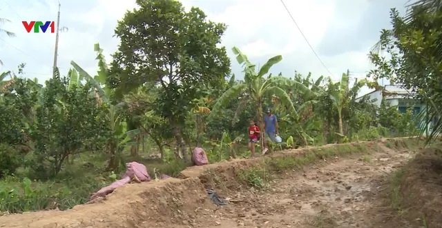 dan-kho-vi-duong-bien-thanh-kenh-thuy-loi.jpg